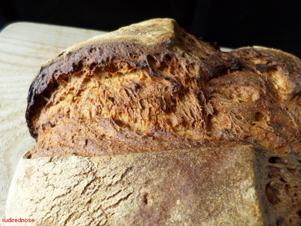 ApplesauceButtermilk Rye Recipe by Stanley Ginsberg The Fresh Loaf